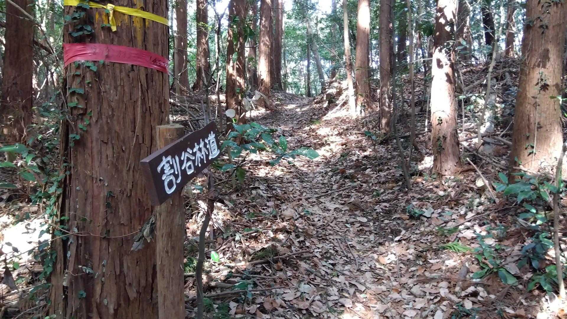 割谷林道から下山します。