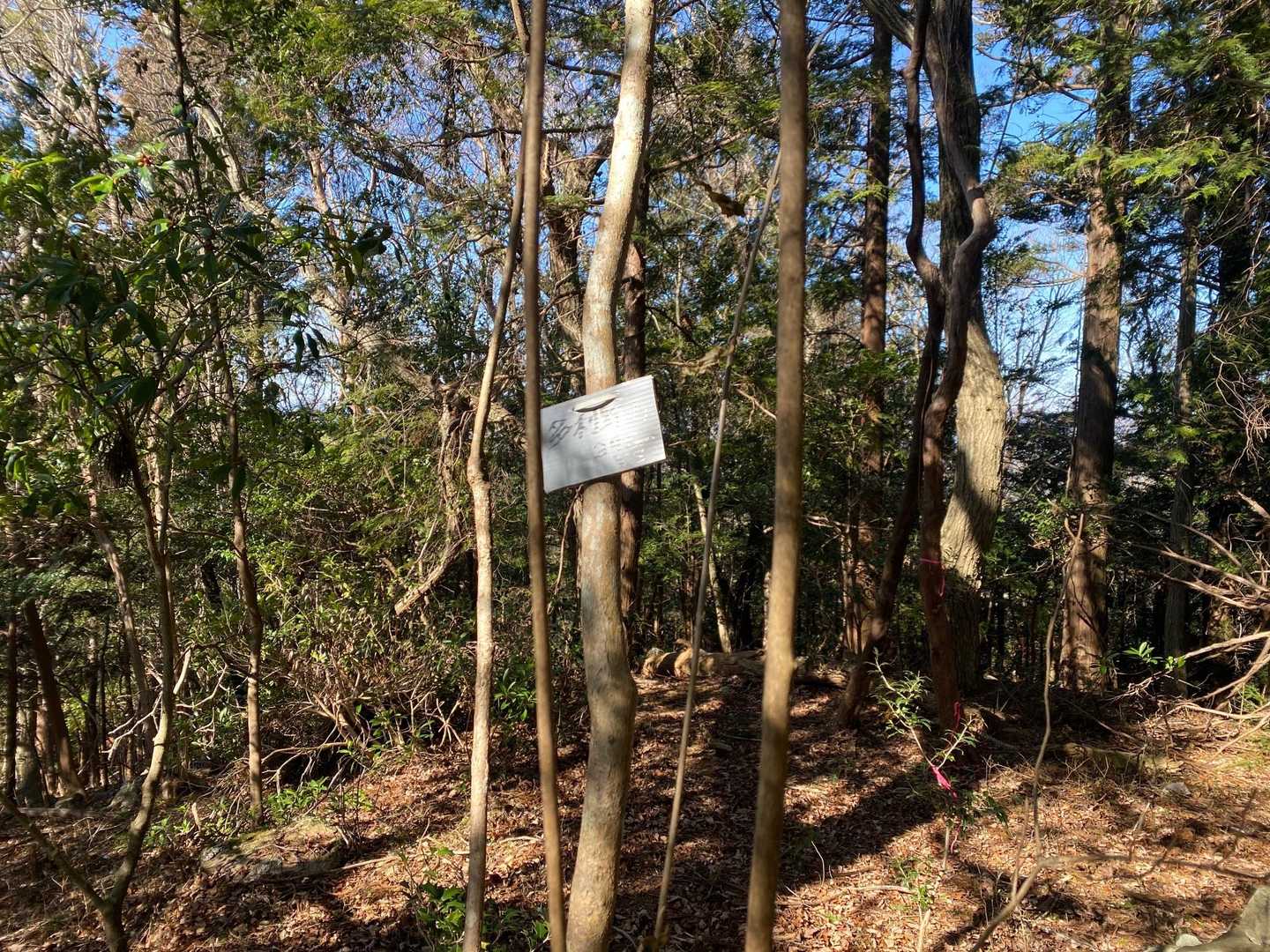 富幕山登山口-多利野山-狩宿山-黒松峠-下の浅間山-上の浅 往復コースの写真