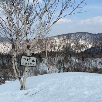 2度目のつげ山🏔️
この辺りでもう体力の限界😭
トロトロ下山