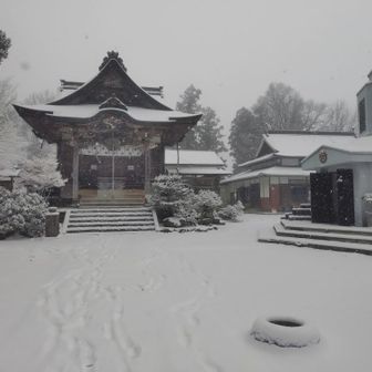 どこかで雪だるま⛄️作ろうと思ったけど、この景色と雪を壊したくないので辞めた(手も限界だし…)