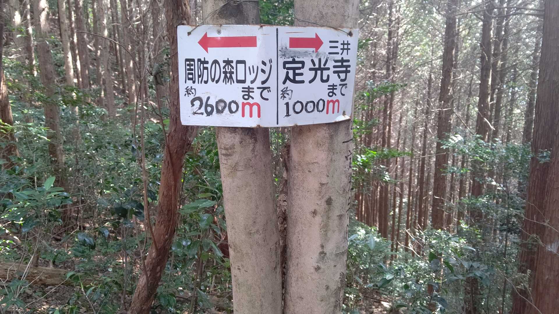 分岐点の道標