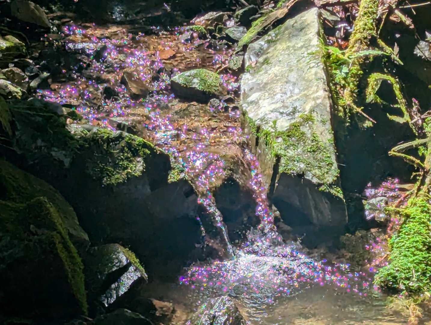 ✨️