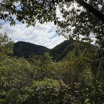 次のお山はあれかな？