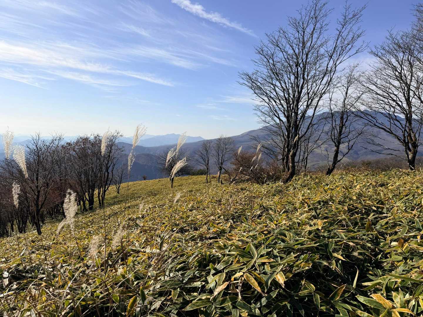 夫婦山入口-夫婦山-月山-月山入口 周回コースの写真
