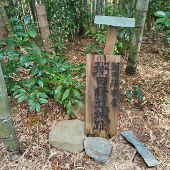 山頂は、粥田経遠城🏯の城趾のようです🤔