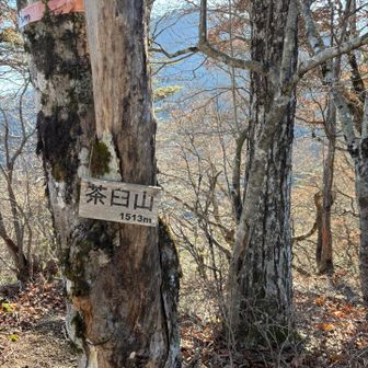 途中のピークもしっかり踏んで