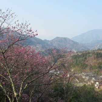 お伊勢山の近くのベンチで朝食、富士山は薄っすらで残念