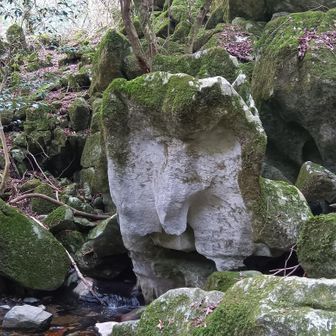 コウゾウ岩
コウゾウとはフクロウのこと
フクロウに見える角度はこれ🦉