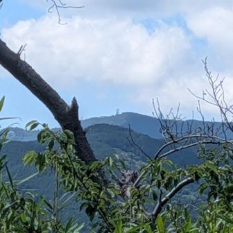 金剛山