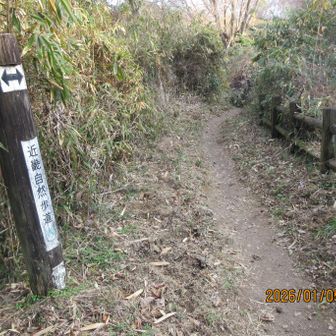 生駒縦走歩道、ある時は大阪環状自然歩道と言われ、ある時は近畿自然歩道になる。