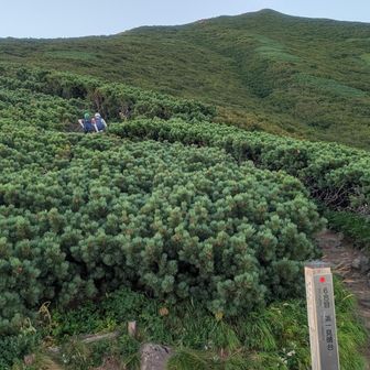 ずっと見えてるピークは長官山