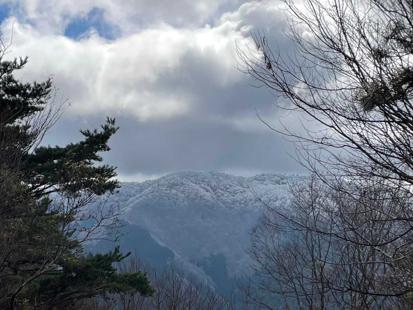 向かいの山🏔️にも☃️が🤩
