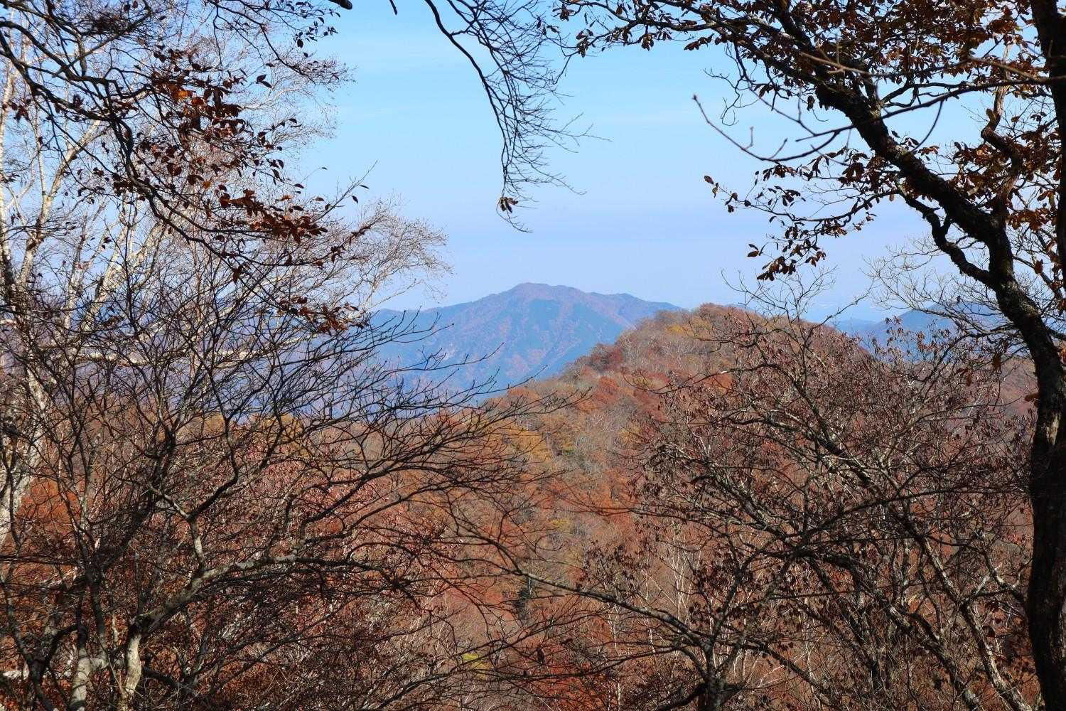 紅葉見納め🍁
奥多摩の紅葉は、鈴鹿に似てる気がした😳秋のイブネでのテン泊の記憶がよみがえったよ❤️‍🔥