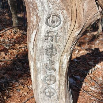 山頂手前分岐で現れるヲシテ文字にびっくりする