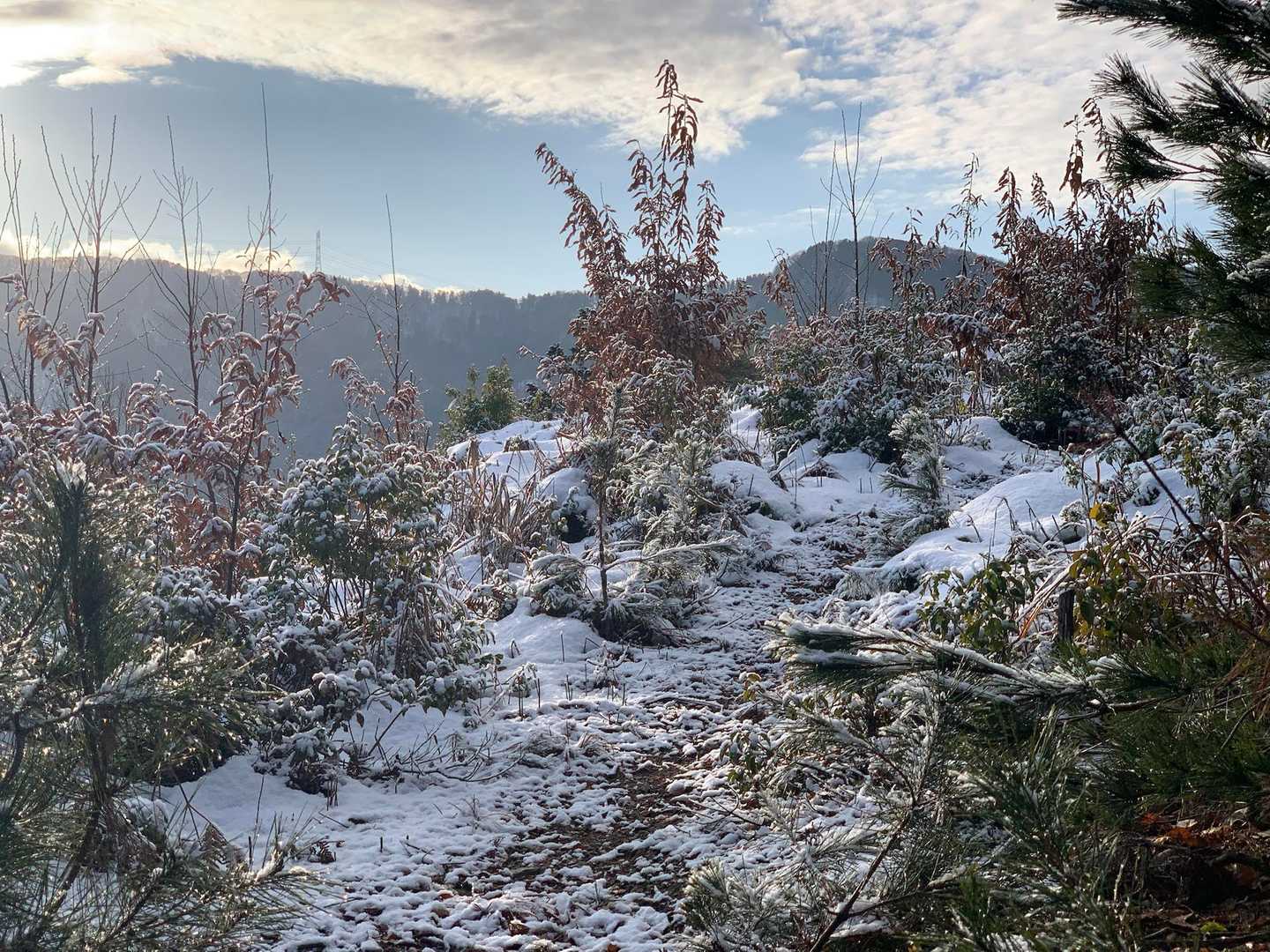 山の北側はこんな感じ
