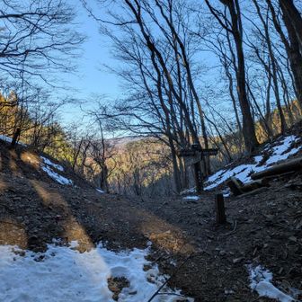 旧正丸峠に着。奥が秩父側。ここから先に秩父盆地抜けるのも面白いかもしれませんね。この先には山はないけど。