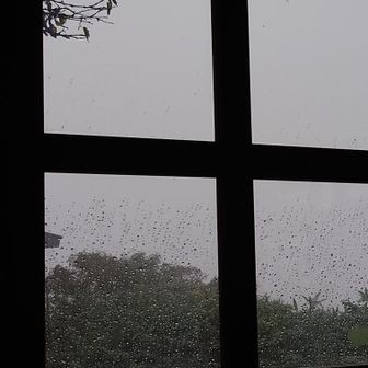 雷雨来るからもう少し待っていたら〜と声をかけて頂き、お陰様で濡れずに下山できました！
感謝です！🙏