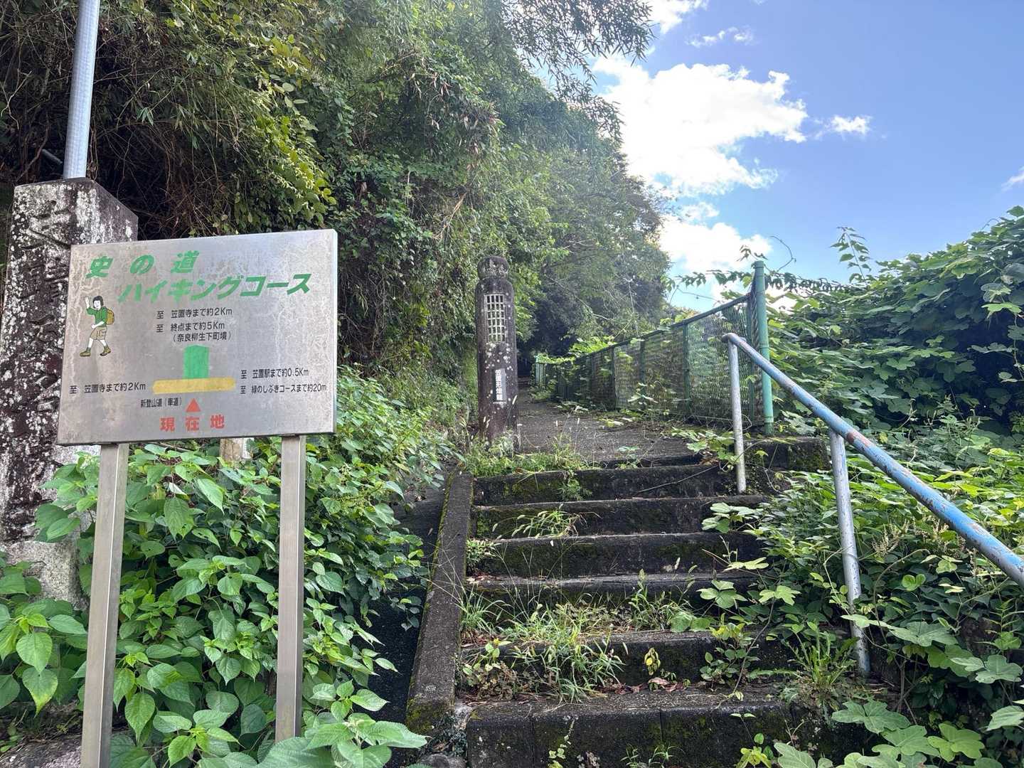 登山道、あまり整備されてません 。