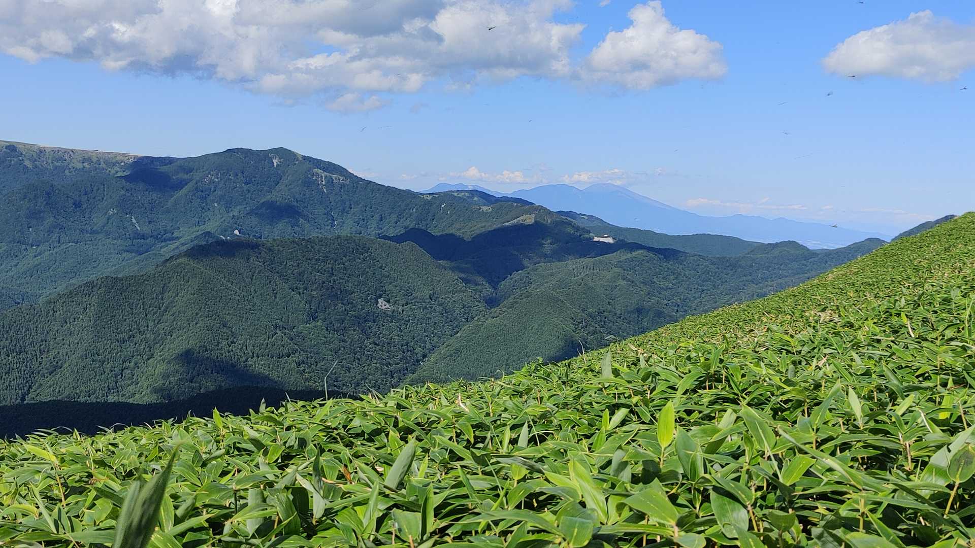 茶臼山と浅間山。