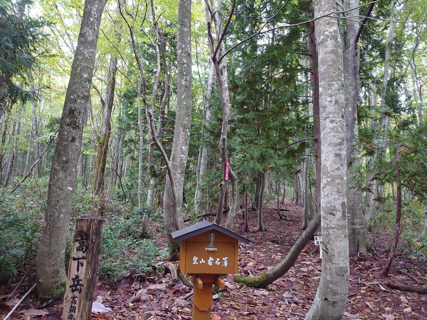 仮眠したら行ってきまぁーす✋