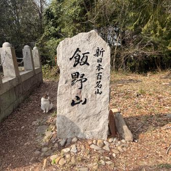 あ。横に猫さんいたのね。