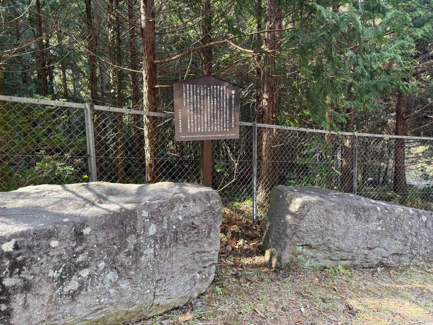 江戸時代初期、早川石丁場から運び出された石材。
江戸城へ向けて運んでいる際、ここに落ちたようです🪨