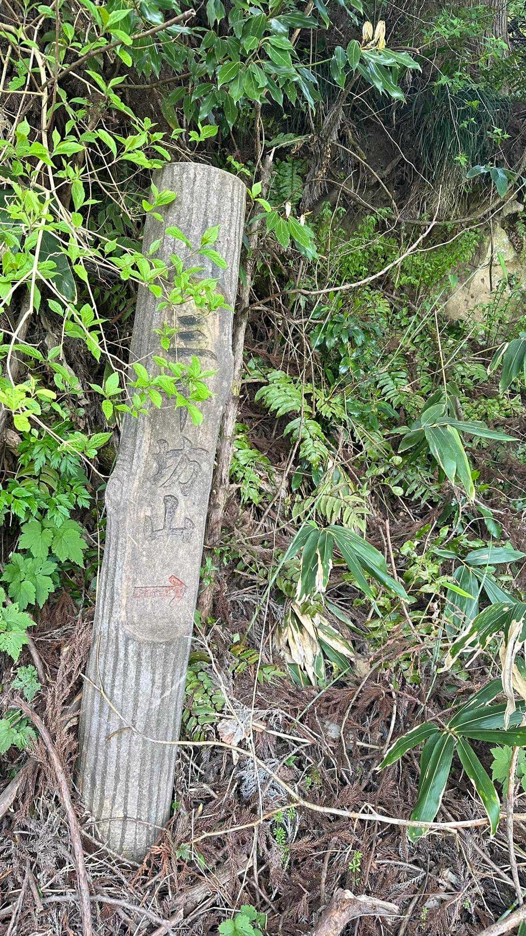 今まで通れなかった本道。開通してます😁