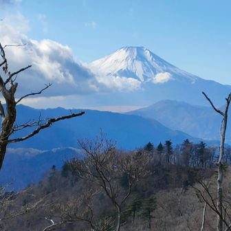 ちょっと雲が増えてきた