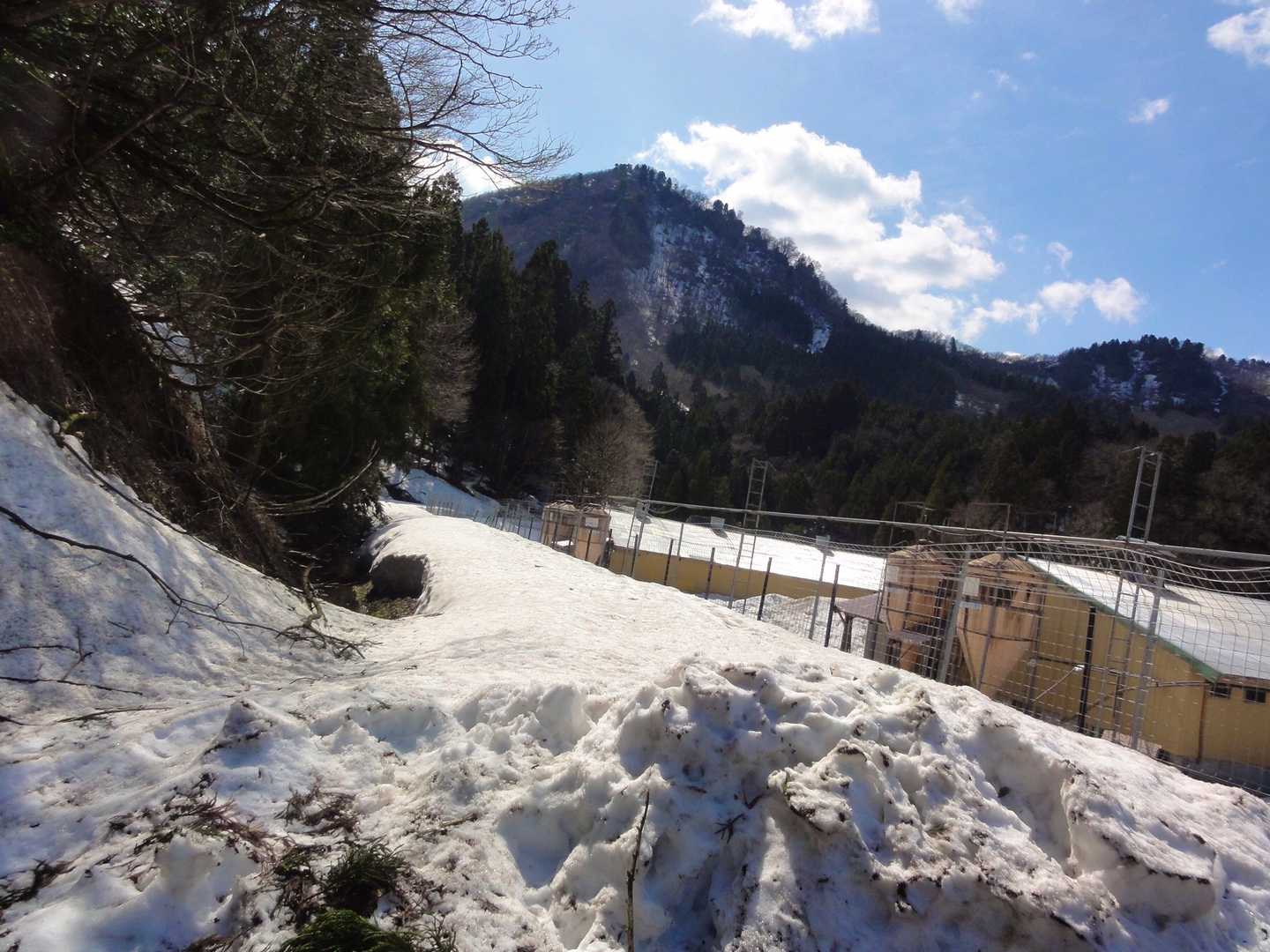 豚さん牧場の道の際に車を停めさせていただきました。
目の前に聳える夫婦山。