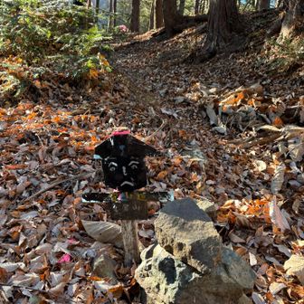 かかしさん🥰落ち葉に埋まりそう🍂