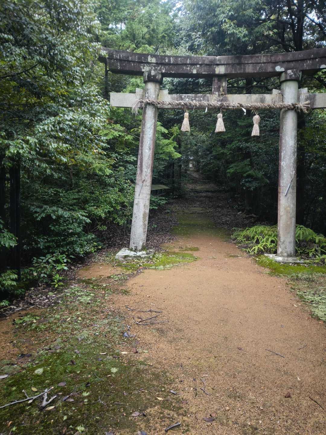 菩提山 往復コースの写真