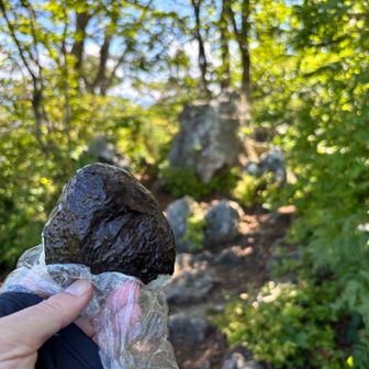 海苔で見えませんが『🌰栗ご飯』のおにぎり
後半の予定に備えてエネルギーチャージ😋