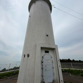 全面タイル張り