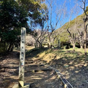 この先も行ってみる