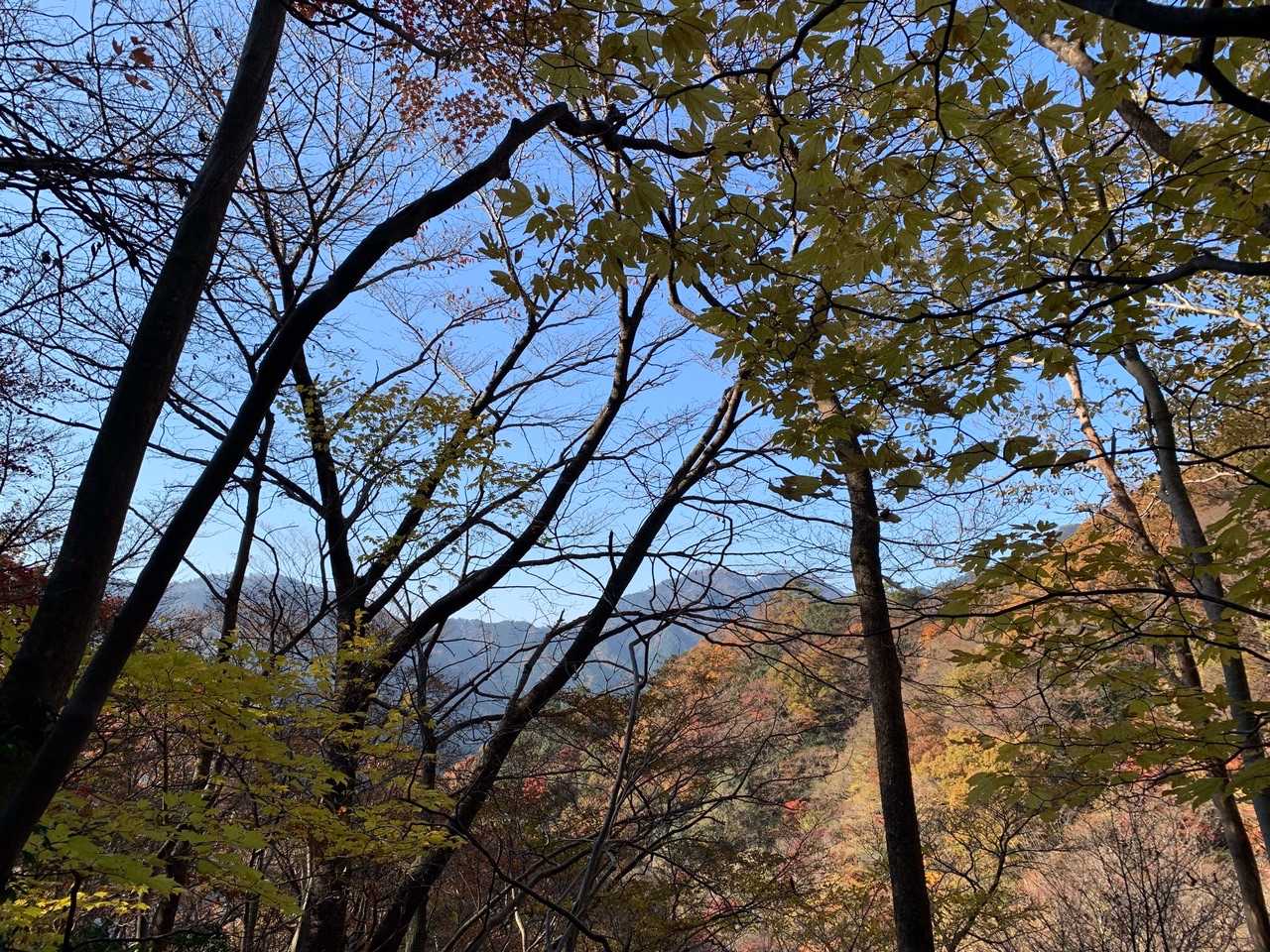 野登山と仙ケ岳