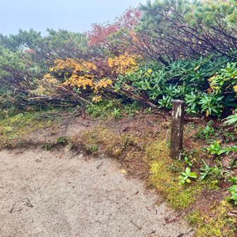 丸森峰とーちゃく🙌🏻