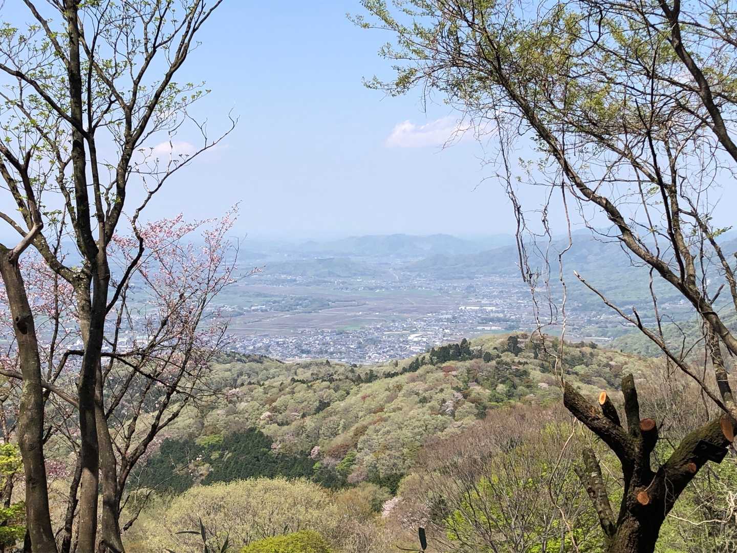登り始めから良い景色