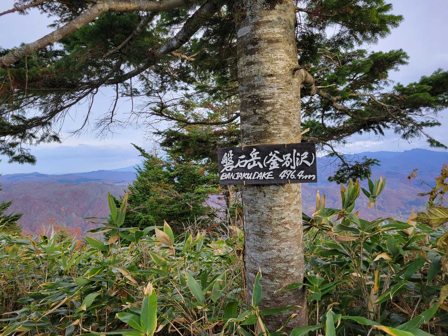 登頂っ⛰️