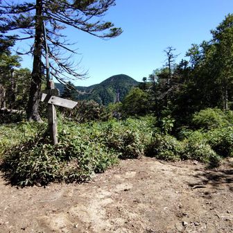 画像の右手へ進むと湯元へ下りる道