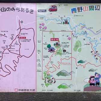 さて今回は上総国最高峰、千葉県では2番目に高い（と言っても標高379㍍ですが・・）鹿野山を歩きます。
鹿野山とは東峰、中央峰、西峰の3峰から成る山域の総称で、各峰にはそれぞれ白鳥神社、熊野神社、春日神社が鎮座とのこと。東峰から順に登っていきます。