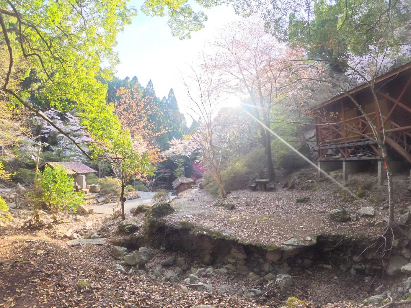 鳥屋山 往復コースの写真