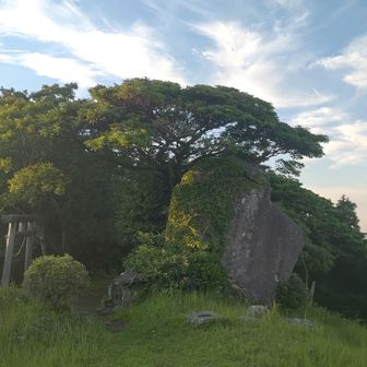 平日からトレイルに入れる幸せ😃