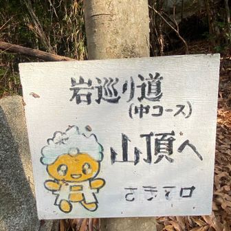 今日は久しぶりにこちらから