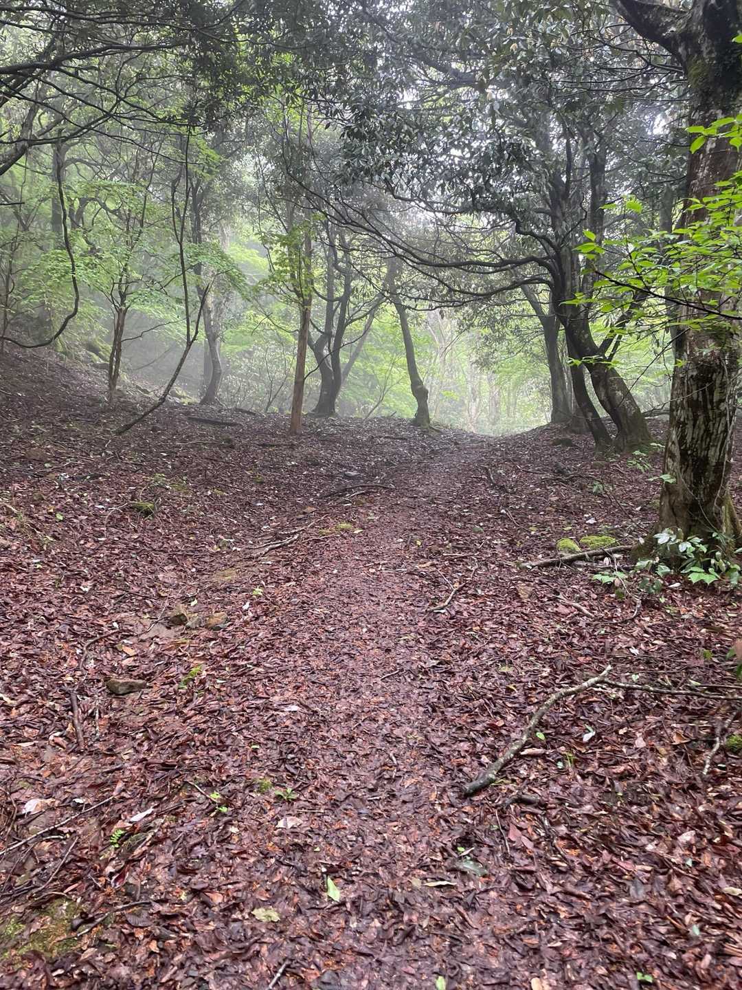 多祢山 往復コースの写真