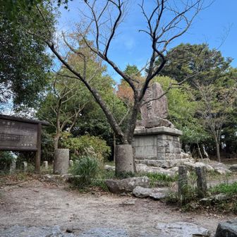 中宮
ここから気持ちいい風が吹く😌