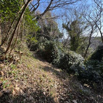 下りは再びワイルドに。