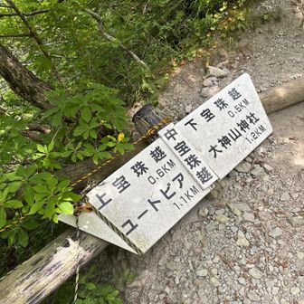 中宝珠までも取ってきました。