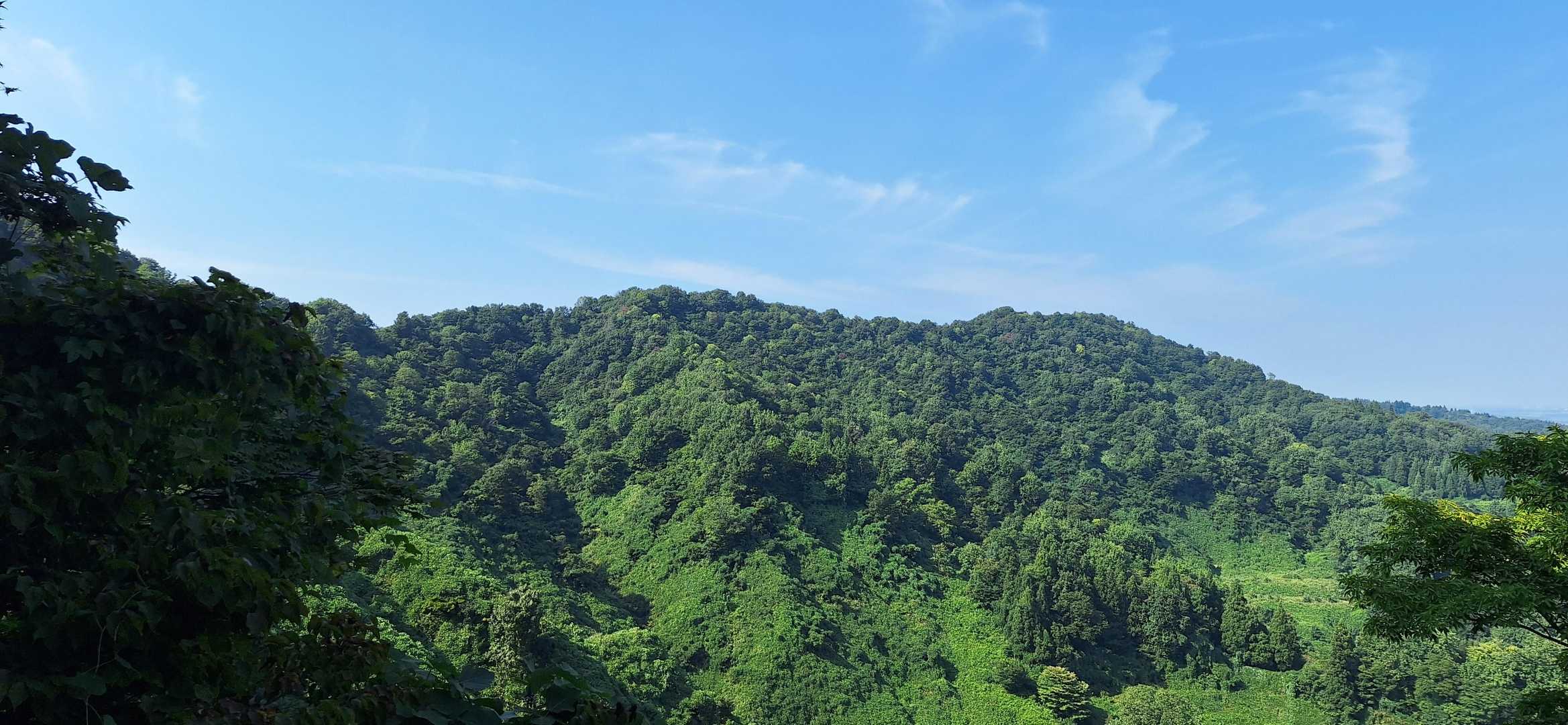 丸山　今日はここまで行きます❗