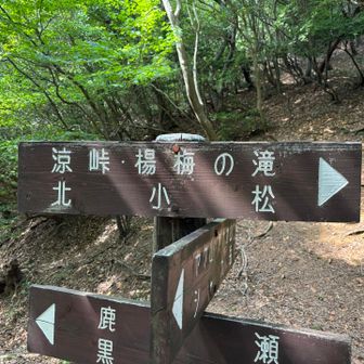 ここまでの間にかかとパッドを貼り直した👍右足復活
