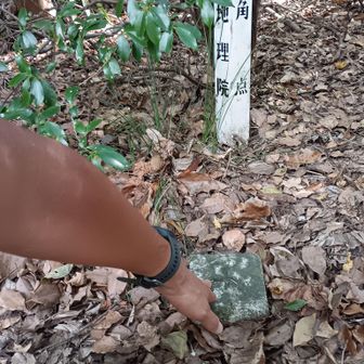 相生山
ここまで来ると、疲労MAX